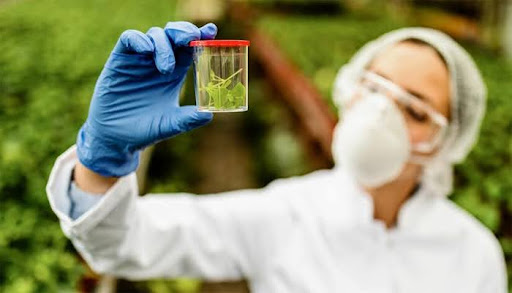 Environmental Allergy Testing